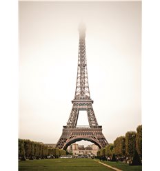 Города 3