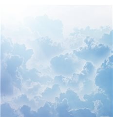 Небо 12