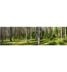 Панорамы 3