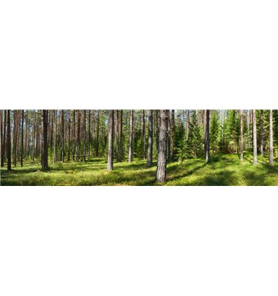 Панорамы 3