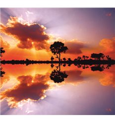 Природа 20