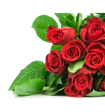 Розы 8