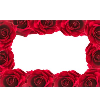 Розы 9