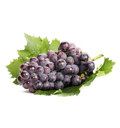 фрукты 14