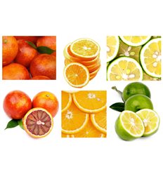 фрукты 24