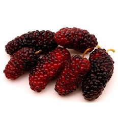 фрукты 30