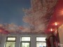 Филиал в городе Шымкент
