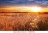 Природа